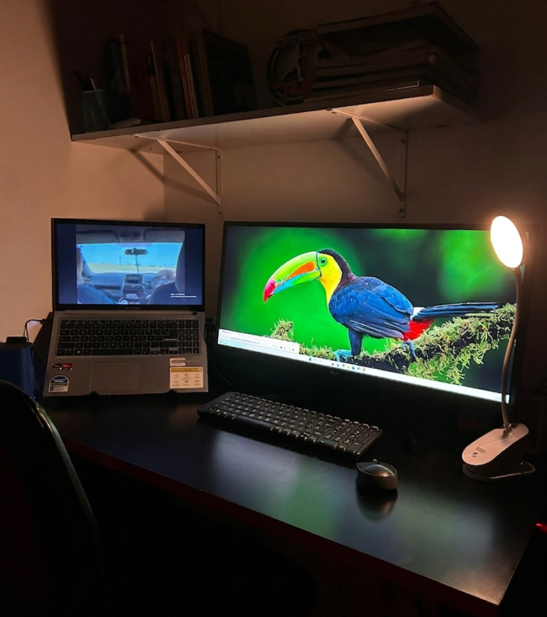 De uma tela pequena à produtividade máxima: O monitor de 29″ que mudou meu jogo